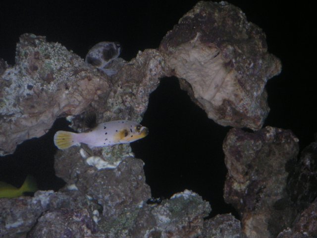 PICT0075.JPG