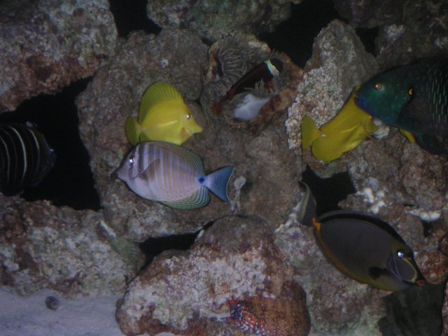 PICT0077.JPG