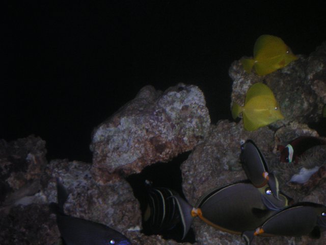 PICT0079.JPG