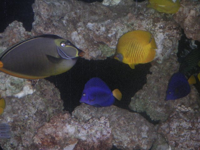 PICT0080.JPG
