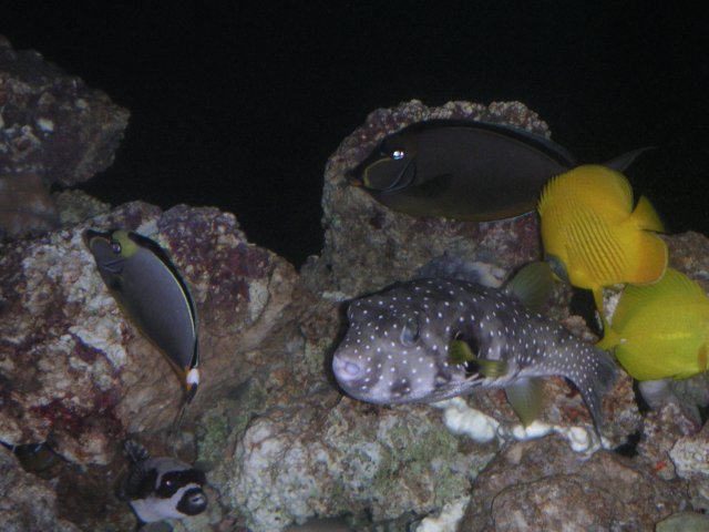 PICT0081.JPG