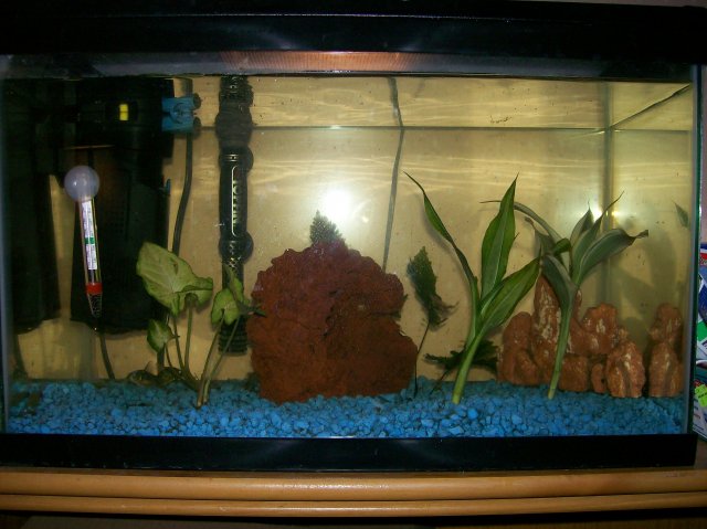 Picture 001.jpg