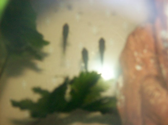 Picture 002.jpg