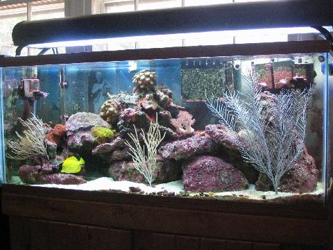 IMG_1199Aquarium.jpg