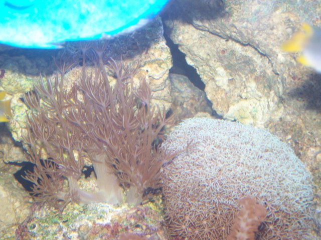 101_0167.JPG