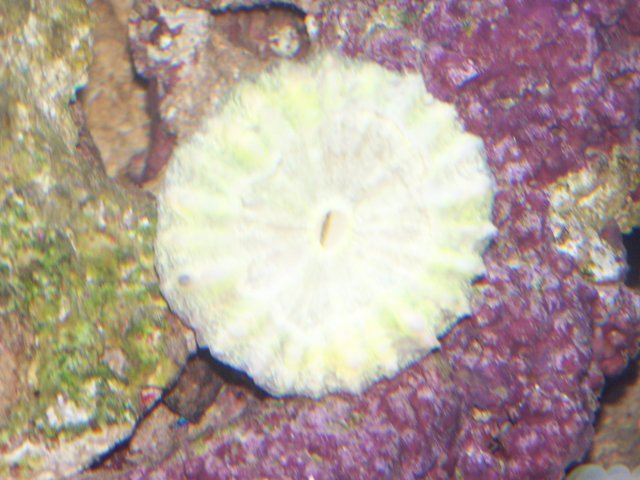 101_0194.JPG