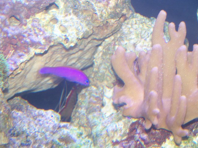 101_0227.JPG