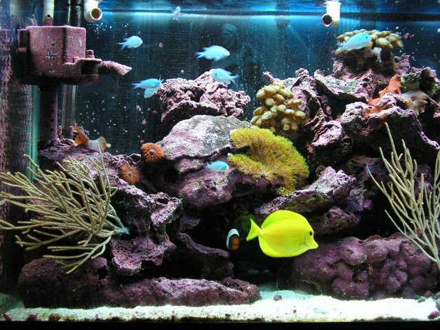 P1010102.JPG