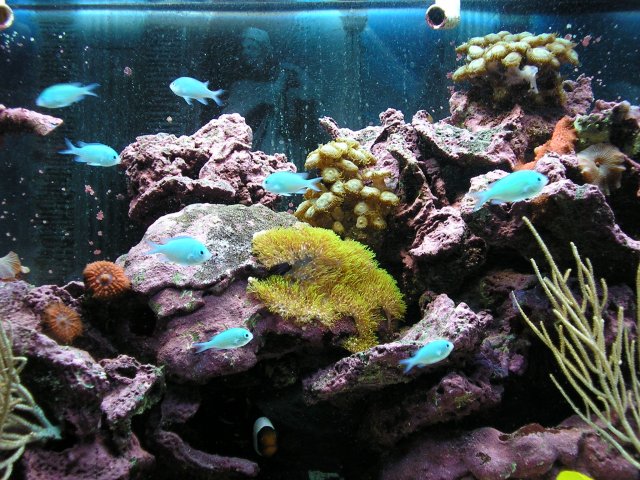 P1010105.JPG