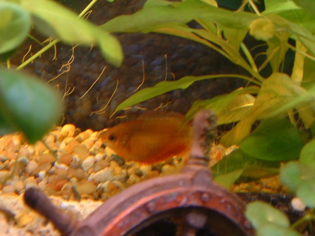 DSCF0371.JPG