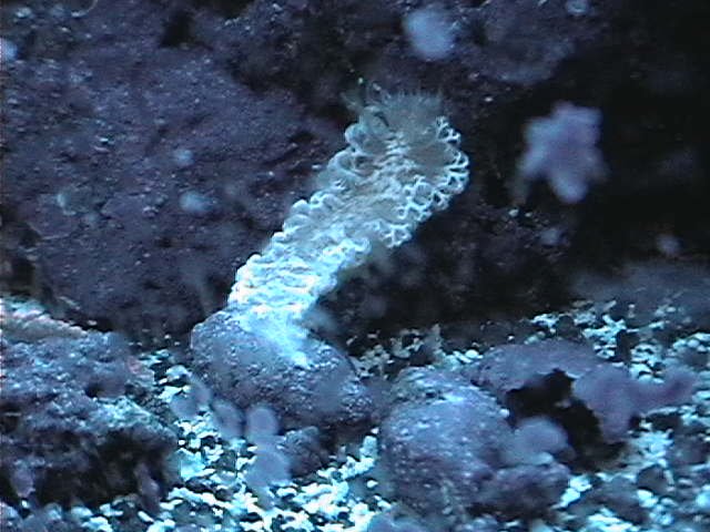 PANA0368.JPG