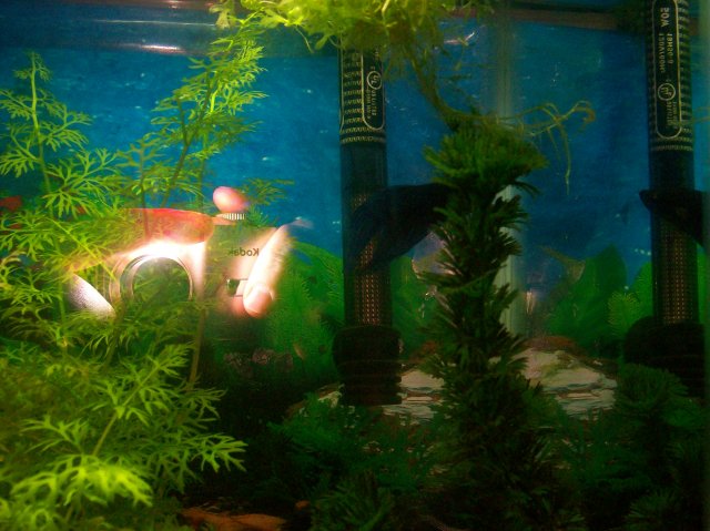 100_0364.jpg