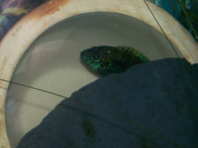 100_0373.jpg