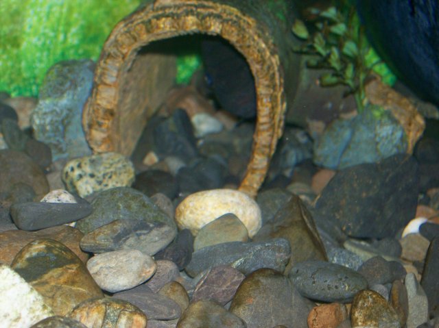 100_0372.jpg