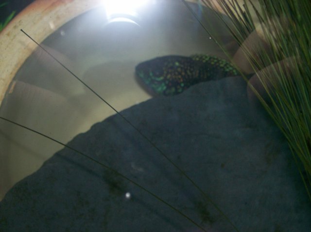100_0374.jpg