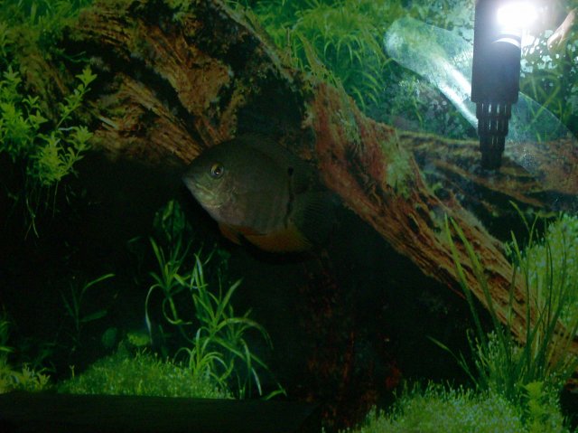 100_0377.jpg