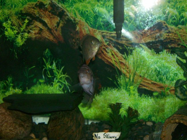 100_0379.jpg