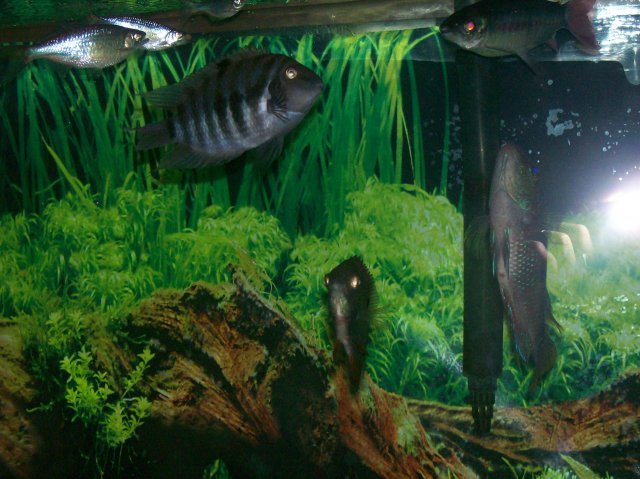 100_0380.jpg