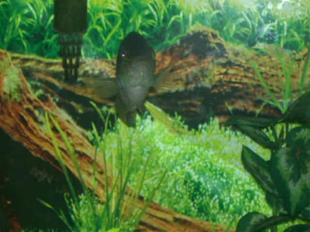 100_0381.jpg