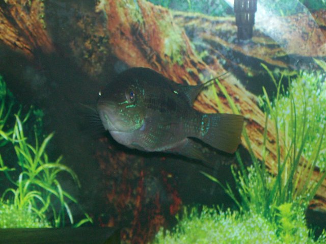 100_0382.jpg