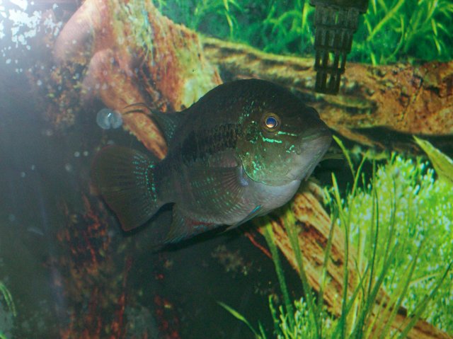 100_0383.jpg