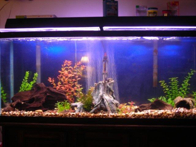 DSCN0349.JPG