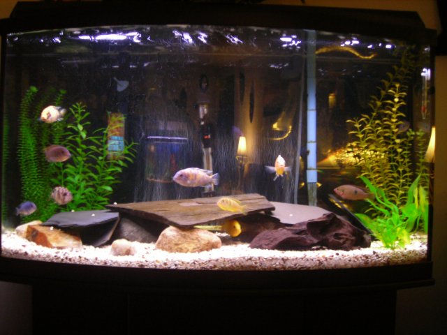 DSCN0354.JPG