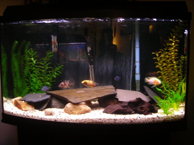 DSCN0361.JPG