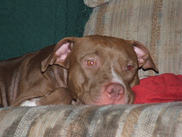 DSCF0589.JPG