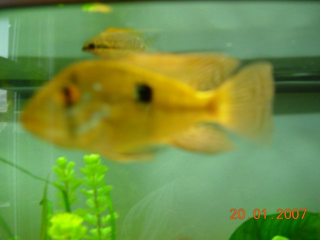 DSCN1743.JPG