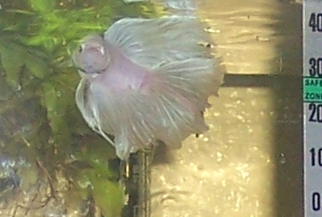 000_3310.JPG