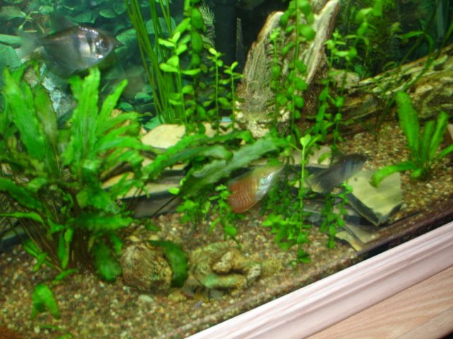 DSC01288.JPG