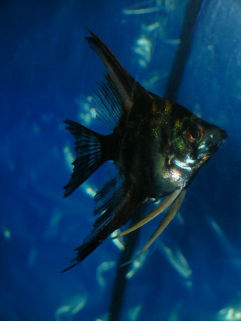 DSCN3978.JPG