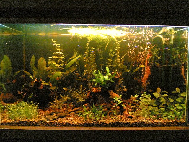 19122006(001).jpg 19122006(001).jpg