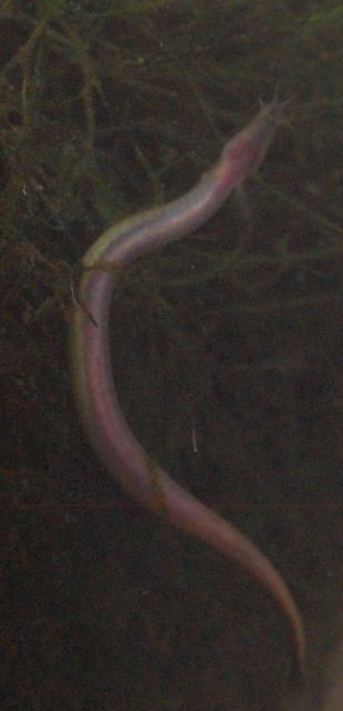 DSC_0037.JPG DSC_0037.JPG