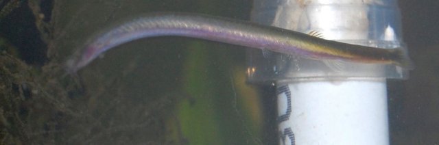 DSC_0048.JPG DSC_0048.JPG