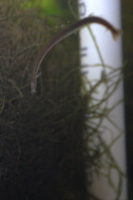 DSC_0052.JPG DSC_0052.JPG