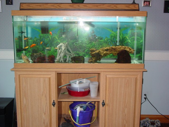Tanks 002.jpg