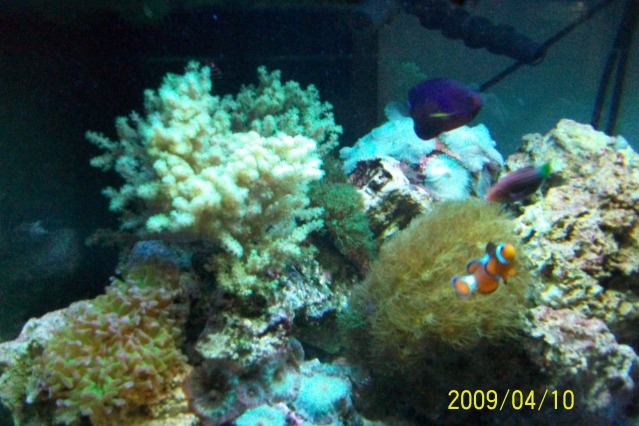 58April11.jpg