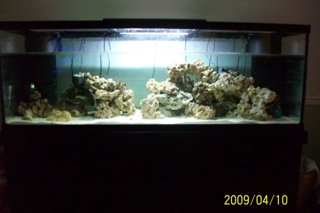180Full2April11.jpg 180Full2April11.jpg