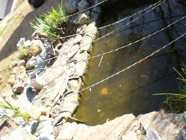 P4100019.JPG