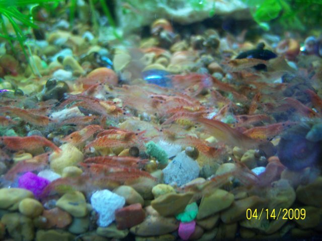 100_1807.jpg