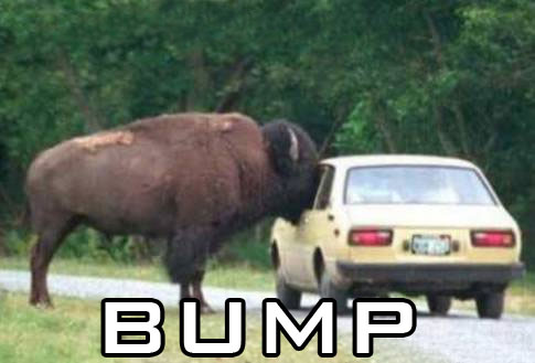 bump bison.jpg