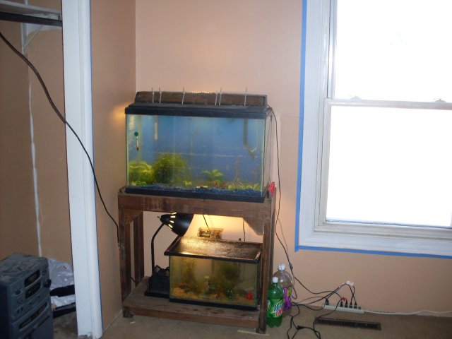 March 14, 2009 096.JPG