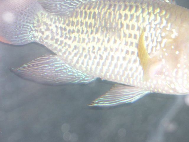 P1000377.JPG