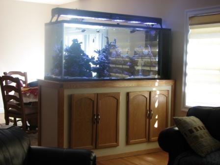 Aquarium - Project Complete 063 comp.JPG