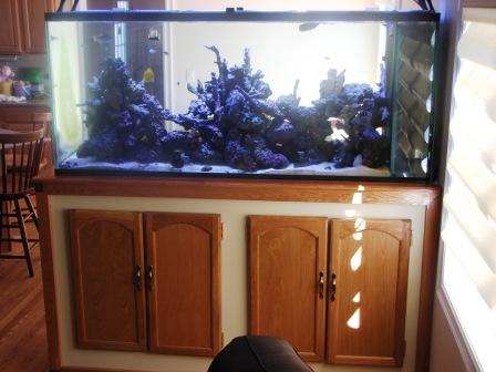 Aquarium - Project Complete 059 comp.JPG Aquarium - Project Complete 059 comp.JPG