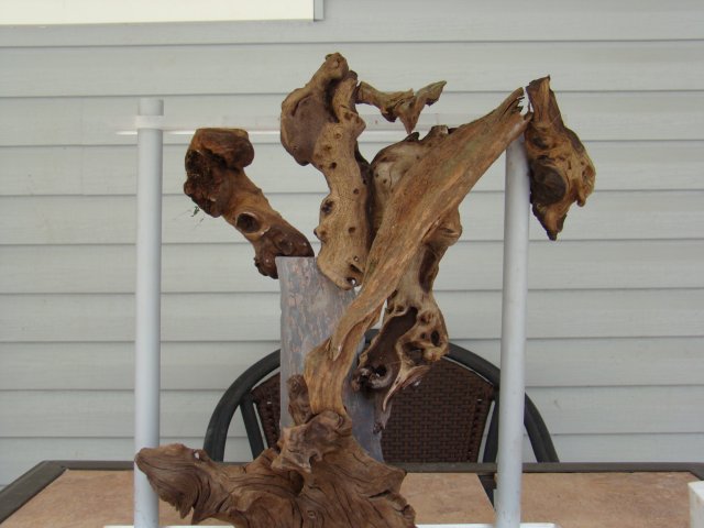 DSC01384.JPG