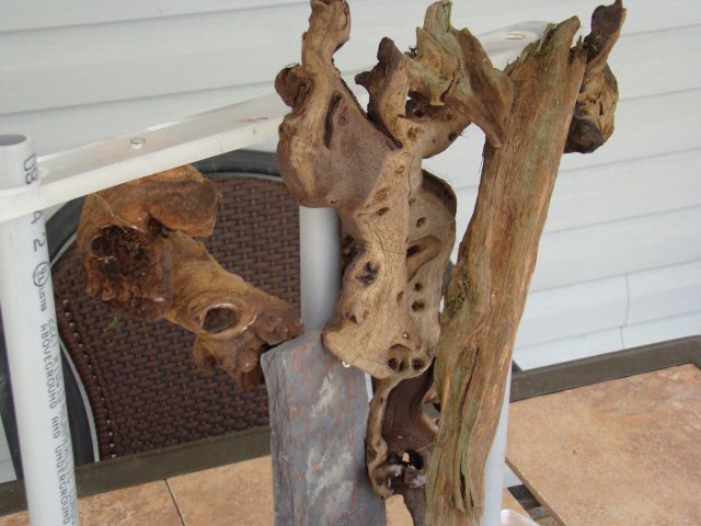 DSC01385.JPG