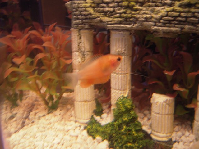 DSCN0747.JPG